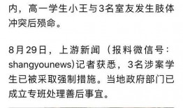 湖北爆料最新消息视频,视频揭露惊人真相！