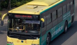 莆田公交车爆料事件最新,惊人内幕揭露公交行业乱象