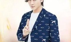 最新爆料传闻张大仙事件,真相与争议交织